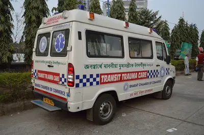 2019 Force Motors Traveller — thumbnail 5